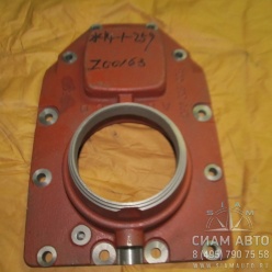 Крышка задняя S6-80 1096308008 (Z00163) Крышка задняя S6-80 1096308008 (Z00163)