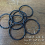 ������ �������������� ���� /BF6M1013FC / 01319624 (80467)