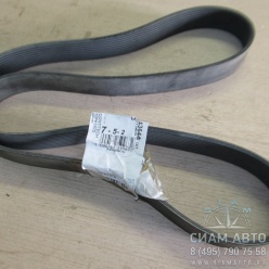 Ремень 10PK1570 (50061) Ремень 10PK1570 (50061)