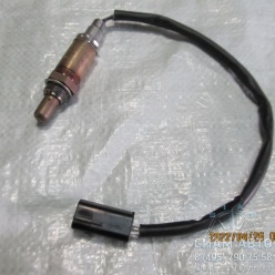 ������ ������-���� Hardy (�00183)