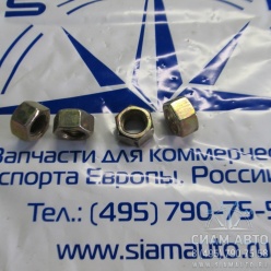 Гайка пальца рессоры Тагаз Hardy (Н00064) Гайка пальца рессоры Тагаз Hardy (Н00064)