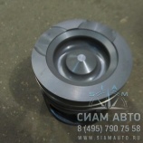 ������� 5302254 2������ (�00955)