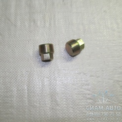 Пробка конусная М24х1.5-sw17/ 0736303005 / S6-160 (Z00174) Пробка конусная М24х1.5-sw17/ 0736303005 / S6-160 (Z00174)