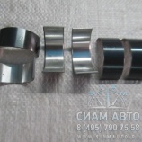 Вкладыш кор.компрессора 01180656 / D=37/33mm, H=17mm / пара (80220) Вкладыш кор.компрессора 01180656 / D=37/33mm, H=17mm / пара (80220)