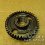     (-245.7) (60884)