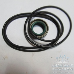 Р/к насоса ГУРа (для ZF № 7673 955 116) / 01.43.017 (М00971) Р/к насоса ГУРа (для ZF № 7673 955 116) / 01.43.017 (М00971)