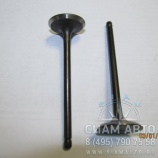 Клапан впускной Тагаз Hardy CK1000 100N2-095 (Н00099) Клапан впускной Тагаз Hardy CK1000 100N2-095 (Н00099)