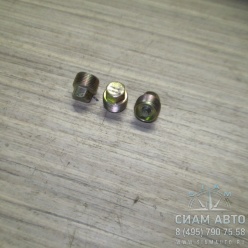 Пробка сливная / 0736301016 / S6-90/80/160 (Z00004) Пробка сливная / 0736301016 / S6-90/80/160 (Z00004)