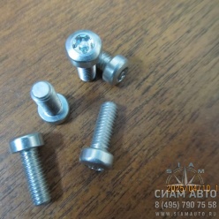 ���� ����������� 0295 9523D / M6X25MM / 0211 2403 (80560)