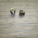 Пробка сливная / 0736030005 / S6-90 (Z00002) Пробка сливная / 0736030005 / S6-90 (Z00002)