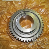�������� ����. ��������. ���� �������������� / 115303013 /  S6-160 (Z00189)
