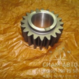 Шестерня заднего хода S6-80 1086305006 (Z00123) Шестерня заднего хода S6-80 1086305006 (Z00123)