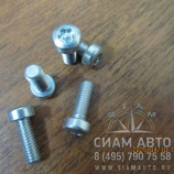 Болт контроллера 0295 9523D / M6X25MM / 0211 2403 (80560) Болт контроллера 0295 9523D / M6X25MM / 0211 2403 (80560)