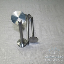 Клапан впуск. CY4102BZLQ (20573) Клапан впуск. CY4102BZLQ (20573)